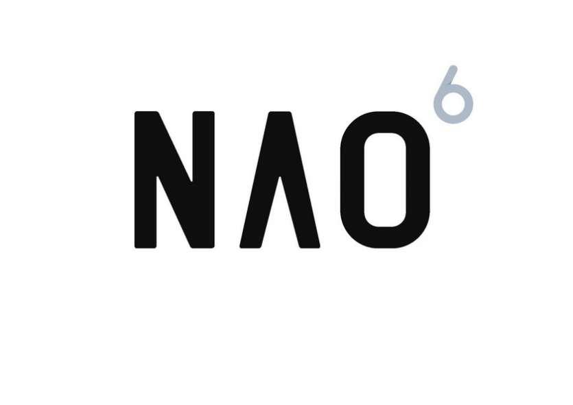 NAO6 le robot humano�de polyvalent